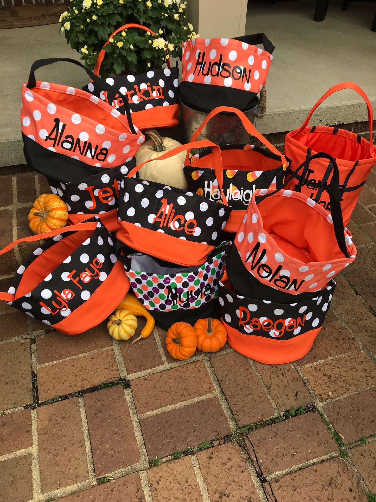 Trick or Treat Bag, Personalized Halloween Bag, Kids Halloween BAG, Gingham Halloween Tote, Halloween Basket, Trick or Treat Bag, Candy Tote